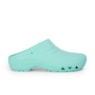 CLOG-MINT-LATERAL-3